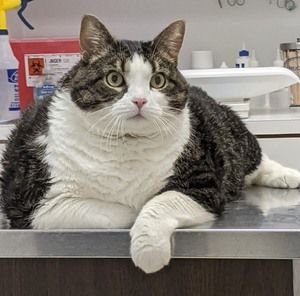 Meet your Posher, Jeff